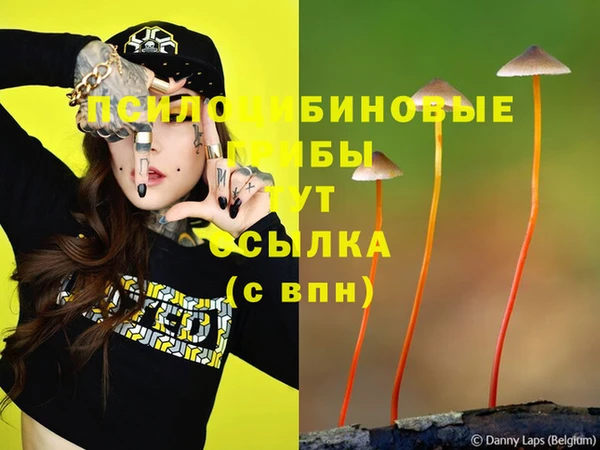 а пвп мука Верхний Тагил