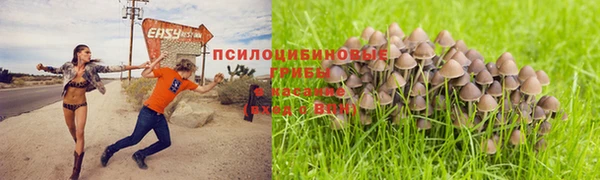 а пвп мука Верхний Тагил