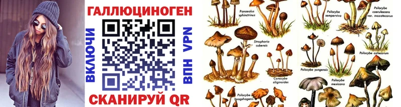 Галлюциногенные грибы Psilocybine cubensis  Купить закладки  Ликино-Дулёво 